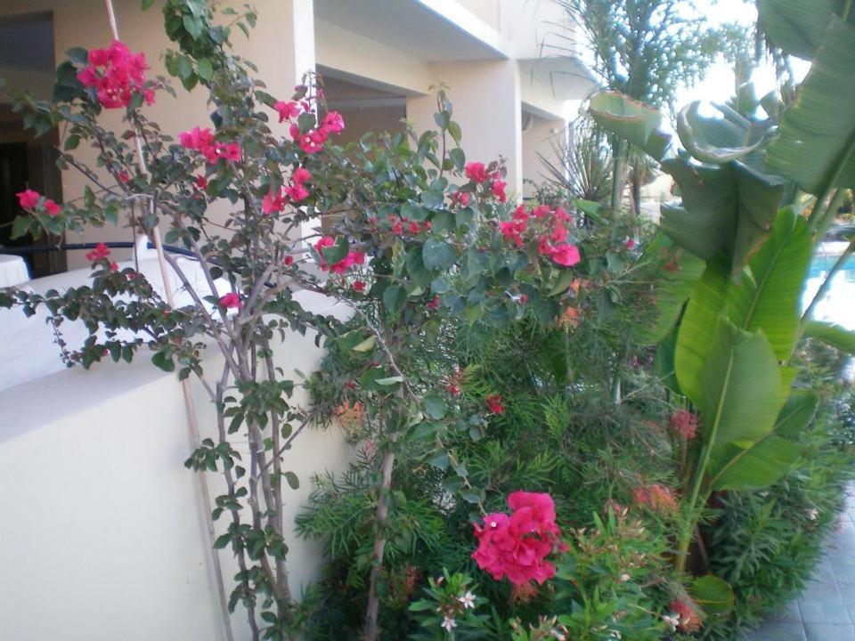 104 Excellent 2 Bed Apartment With Pool View, Ac & Gym! Bahçalar Dış mekan fotoğraf