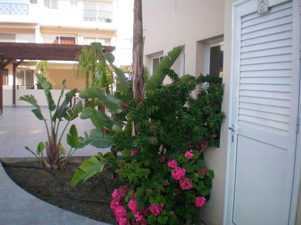 104 Excellent 2 Bed Apartment With Pool View, Ac & Gym! Bahçalar Dış mekan fotoğraf