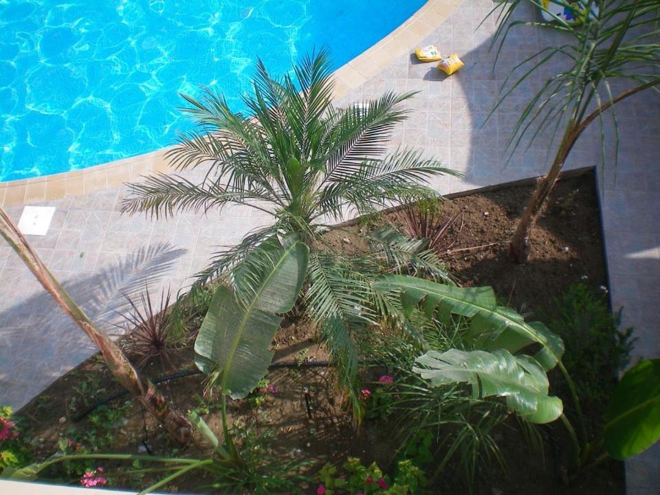 104 Excellent 2 Bed Apartment With Pool View, Ac & Gym! Bahçalar Dış mekan fotoğraf