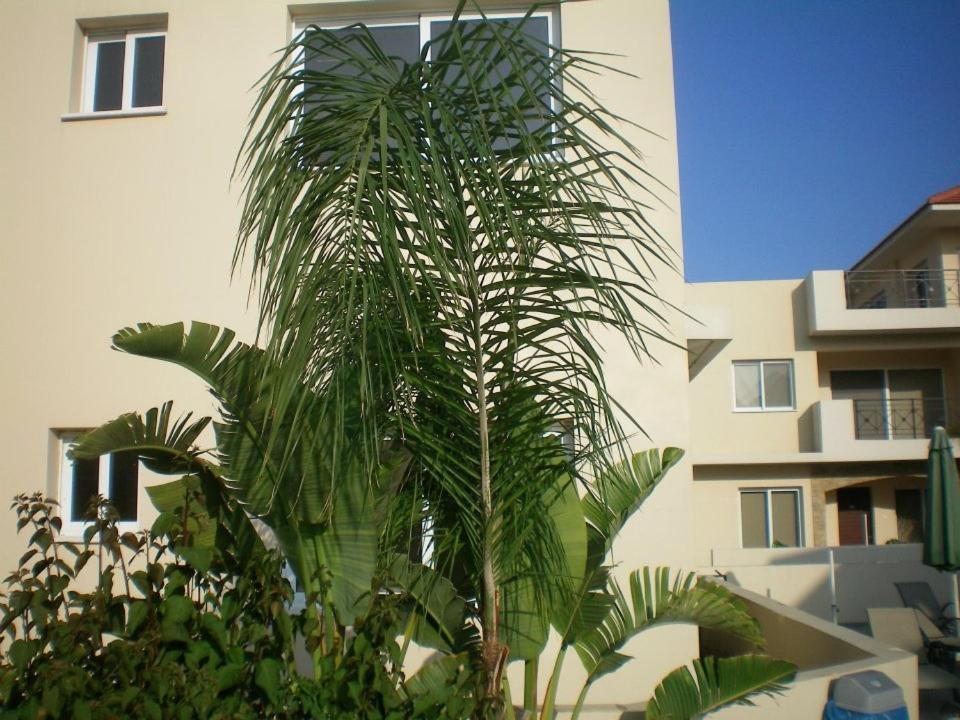 104 Excellent 2 Bed Apartment With Pool View, Ac & Gym! Bahçalar Dış mekan fotoğraf