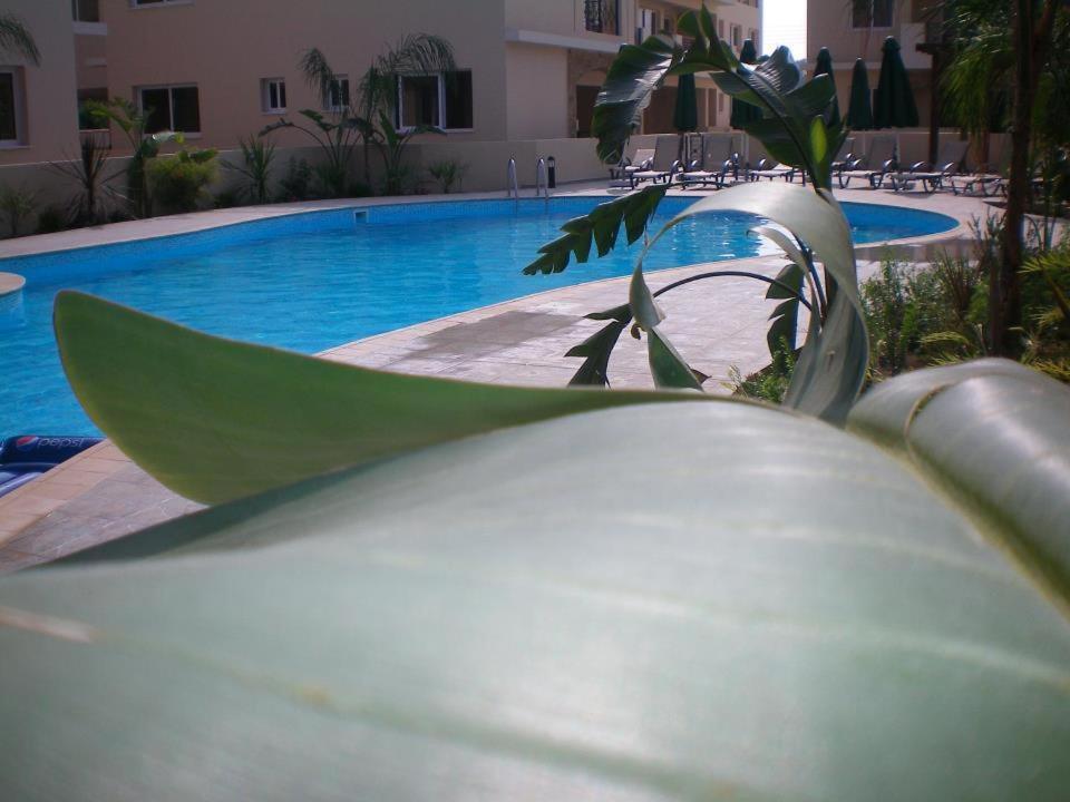 104 Excellent 2 Bed Apartment With Pool View, Ac & Gym! Bahçalar Dış mekan fotoğraf