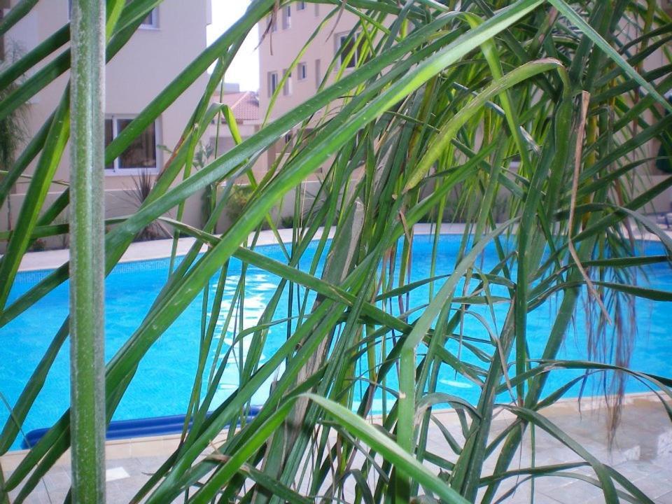 104 Excellent 2 Bed Apartment With Pool View, Ac & Gym! Bahçalar Dış mekan fotoğraf